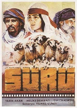 Sürü 1978 izle