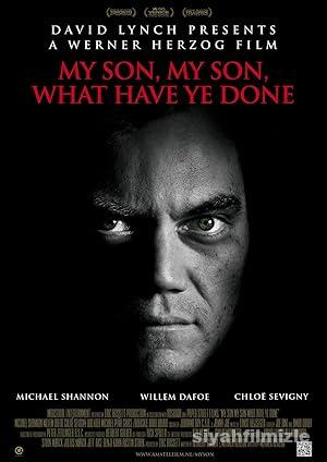 Benim Güzel Oğlum, Ne Yaptın Sen? 2009 izle