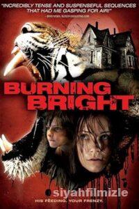 Kaplan Kapanı 2010 Filmi Türkçe Dublaj Altyazılı Full izle Kaplan Kapanı 2010 izle