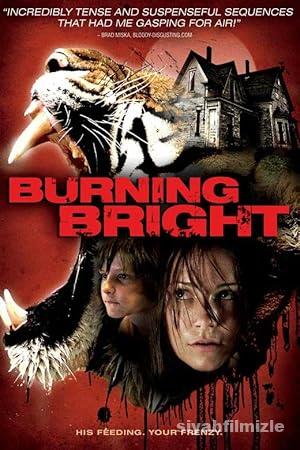 Kaplan Kapanı 2010 izle