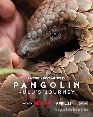Pangolin: Kulu’nun Yolculuğu 2025 Filmi Türkçe Full izle Pangolin: Kulu’nun Yolculuğu 2025 izle