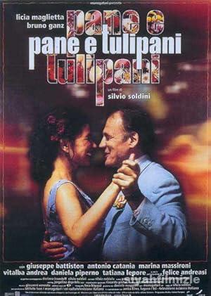 Ekmek ve Laleler 2000 Filmi Türkçe Dublaj Altyazılı izle Ekmek ve Laleler 2000 izle