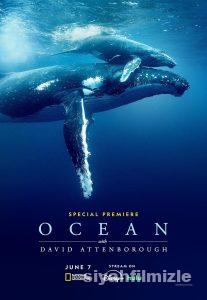 David Attenborough ile Okyanuslar 2025 Filmi Full izle David Attenborough ile Okyanuslar 2025 izle