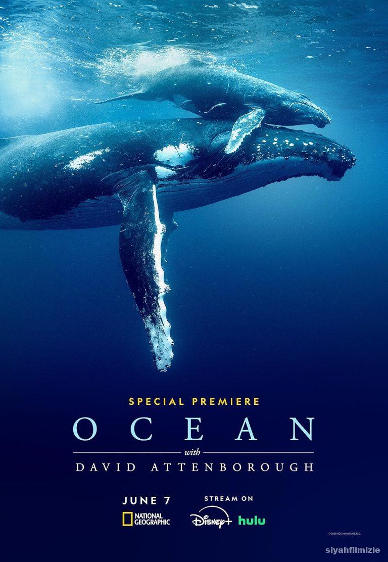 David Attenborough ile Okyanuslar 2025 izle