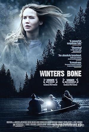 Gerçeğin Parçaları 2010 izle