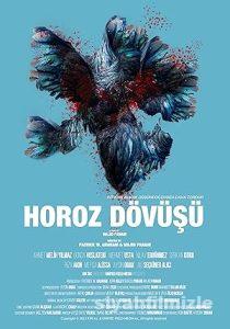 Horoz Dövüşü 2022 Yerli Filmi Full Sansürsüz izle Horoz Dövüşü 2022 izle