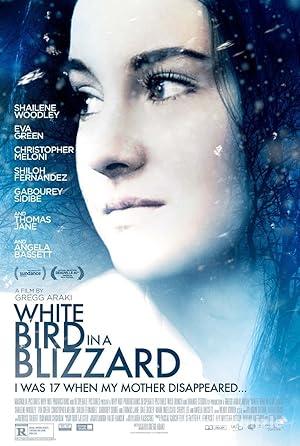 Karda Bir Beyaz Kuş 2014 Türkçe Dublaj Altyazılı Full izle Karda Bir Beyaz Kuş 2014 izle
