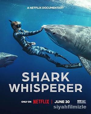 Köpek Balıklarına Fısıldayan Kadın 2025 izle
