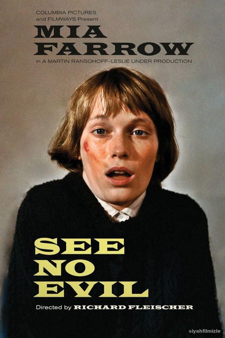 Korkunun İçinde 1971 izle
