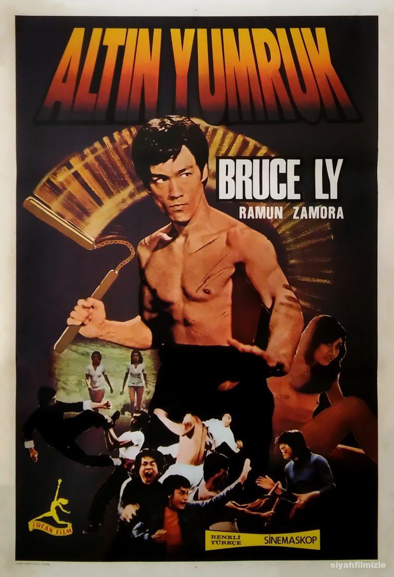 Altın Yumruk 1977 izle