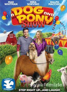 Köpek ve Midilli 2018 Filmi Türkçe Dublaj Altyazılı izle Köpek ve Midilli 2018 izle