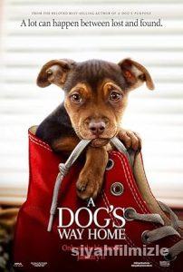 Sadık Dostum 2019 izle