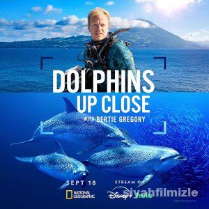 Dolphins Up Close with Bertie Gregory 2025 Filmi Full izle Dolphins Up Close with Bertie Gregory 2025 izle