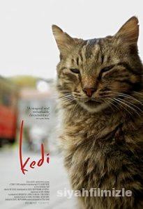 Kedi 2016 Yerli Filmi Full Sansürsüz izle Kedi 2016 izle
