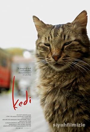 Kedi 2016 Yerli Filmi Full Sansürsüz izle Kedi 2016 izle