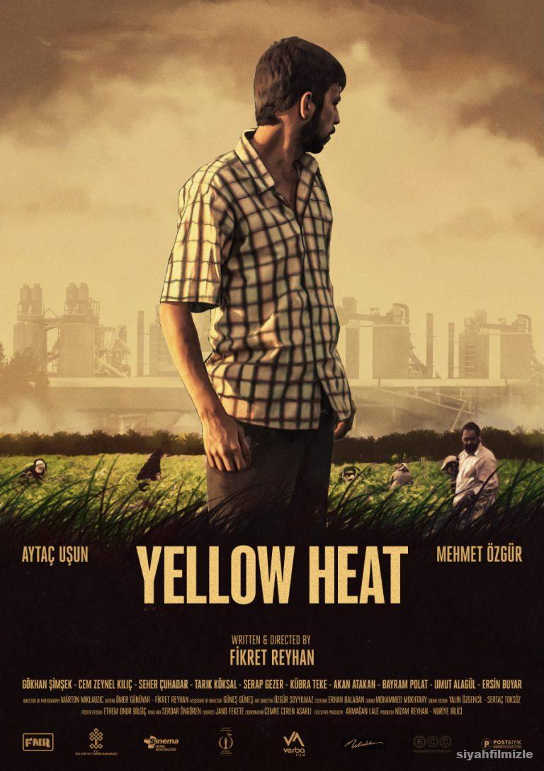 Sarı Sıcak 2017 izle