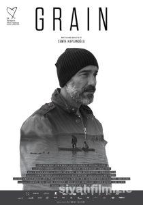 Buğday 2017 Yerli Filmi Full Sansürsüz izle Buğday 2017 izle