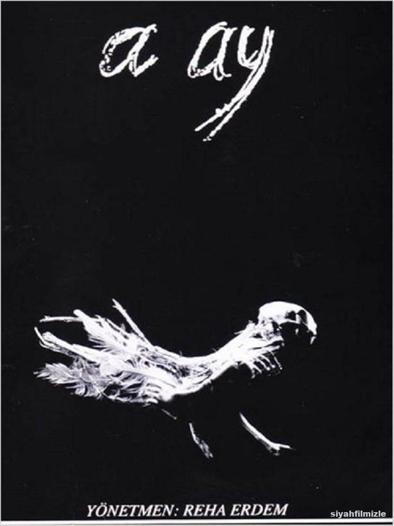 A Ay 1988 izle
