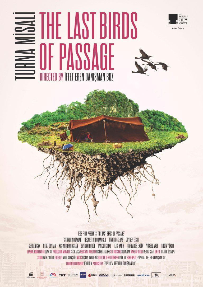 Turna Misali 2021 izle