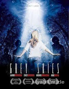 Gri Gökyüzü 2010 izle